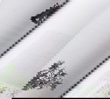 Laissez-vous inspirer